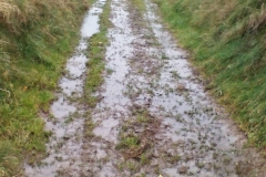 zdj drogi przed remontem 13