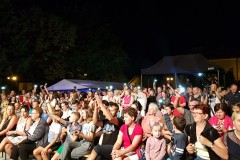 2019-08-11-21.09.14-1