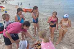 364189493_806004181224827_2245827114311667536_n