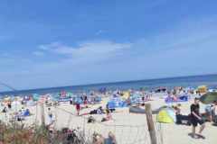 363891891_1411227466116217_6891210340280174335_n