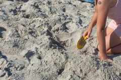 358810006_2522728051210126_1333243032874050858_n