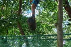 364213473_659628016052194_2623262391701454586_n