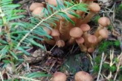 242116742_400928161599112_7944164107717461893_n