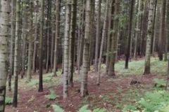 242151004_369410111501971_5683371978592822583_n