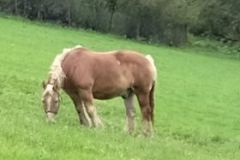 242155544_327841275806069_2495569800962089807_n