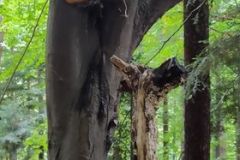 242161008_1185152921984592_2216323918023975074_n