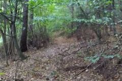 242167294_537512290782807_4458357672335285357_n