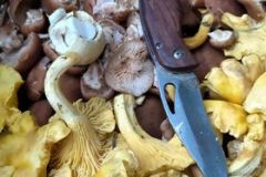 242168278_405155417687471_3242384709769298957_n