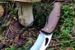 242171814_1304182630012413_1621858904391370765_n