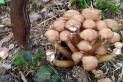 242171815_373142274516756_3709394401587687696_n