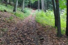 242172445_441526417587188_5470238628497350989_n