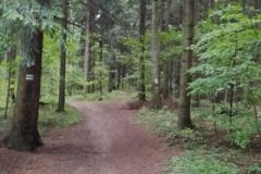 242178754_219655143479957_8270124002847340606_n