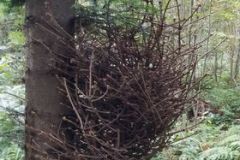 242180731_4083819171724470_7080966609164114365_n