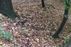 242217287_160353272917106_2730362088962681666_n