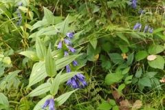 242270154_236494058288492_3529767724441898558_n