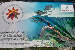 20200917_151656_wynik