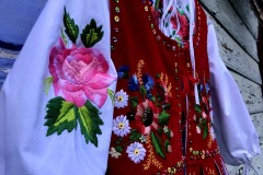 79164075_551127718776426_3011404809078046720_n