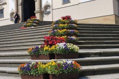 104091859_183993699695663_3240552006009025516_n