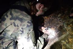 20210928_191206_wynik