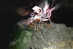 20210928_191422_wynik