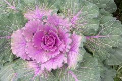 22768228_1481247088638387_320279848_o