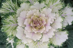 22789856_1481247188638377_618620880_o