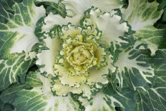 22812639_1481247311971698_623097630_o