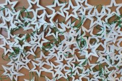 131252051_455004428833698_7756688640513115715_n