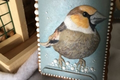 11_-_PTAKI_-_KATARZYNA_STECZOWICZ