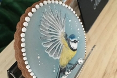 13_-_PTAKI__KATARZYNA_STECZOWICZ