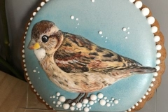 14_-_PTAKI_-_KATARZYNA_STECZOWICZ