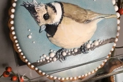 15_-_PTAKI_-_KATARZYNA_STECZOWICZ