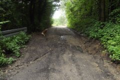 109734121_1502334863283545_2377505624278881684_o