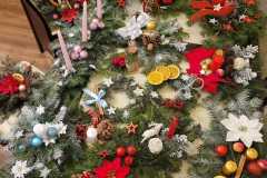 265247117_637438517609243_6226126864526541340_n