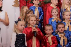 80447189_456273435001749_8164414151712571392_n