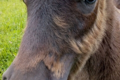 WhatsApp Image 2018-05-19 at 15.06.49