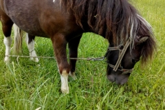 WhatsApp Image 2018-05-19 at 15.07.36