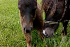 WhatsApp Image 2018-05-19 at 15.08.33