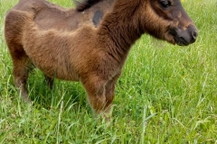 WhatsApp Image 2018-05-19 at 15.09.18