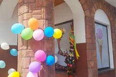 57111065_2081007848865241_4800790160000155648_n