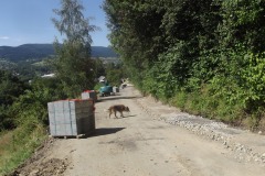 116900375_1512462635604101_3217072109173424116_o