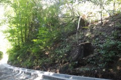 116901821_1512462465604118_6023300935965086843_o