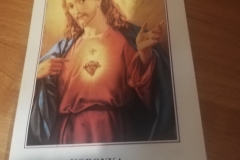 196352383_234054228110540_231775274393101697_n