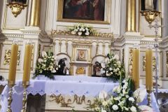 119126932_362879624728224_5036434632762522523_n