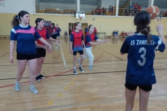 IMG_20240109_124934_593