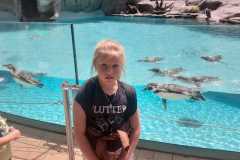 445074296_122130713396249966_8858002901255533450_n