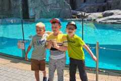 445179760_122130713042249966_2800948331292089748_n