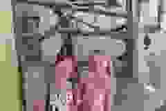 445181116_122130710582249966_9088743782529969269_n