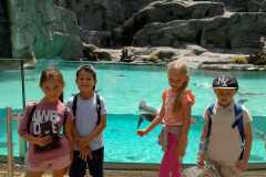 445181955_122130713276249966_6426577169006941081_n