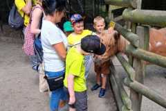 445186896_122130711242249966_6938067690578872939_n